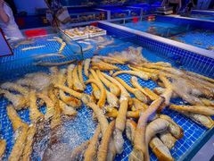 -驻海渔市(置信店)