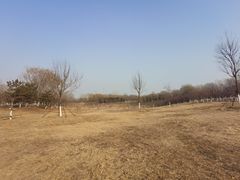 -永定河休闲森林公园