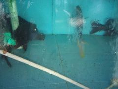 android_upload_pic-浪琴湾尾角仔海鲜坊