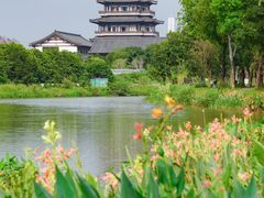 -海珠湖公园
