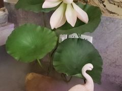 -韵秋荷(宝山龙湖天街店)