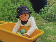 -前小桔亲子创意农场·草莓采摘·露营烧烤
