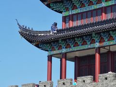 -黄贤森林公园