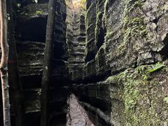 -梭布垭石林景区