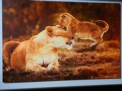 -罗红摄影艺术馆