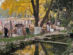 -成都市活水公园