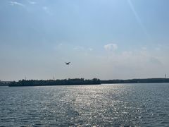 -丁香湖公园