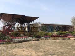 -上海长兴岛郊野公园