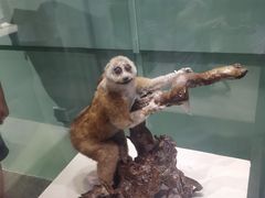 -国家自然博物馆