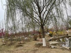 景点-水西公园