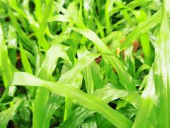 -水濂山森林公园