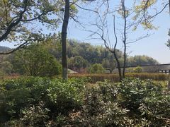 -宁波富邦荪湖山庄