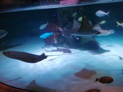 -沈阳海洋探索中心