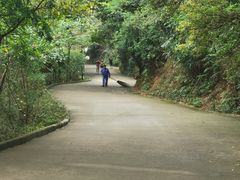 -小南山公园