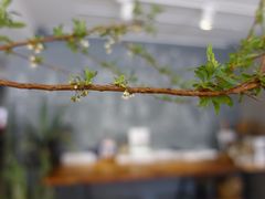 -研途咖啡馆(健康路店)
