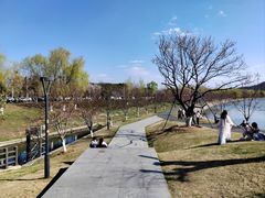 -羊山湖公园