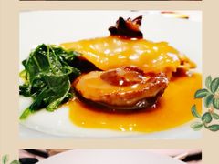 橘黄豚鲍鱼-子福慧(虹桥店)