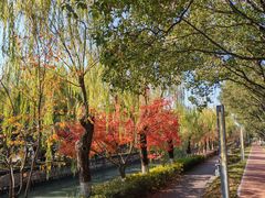 -上海交通大学(闵行校区)