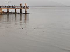 -深圳湾公园(南山区)