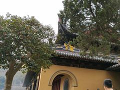 -普陀山风景名胜区-法雨禅寺