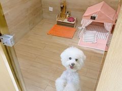 -Double Rui宠物酒店