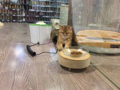 -宠物世家(仲盛世界商城店)