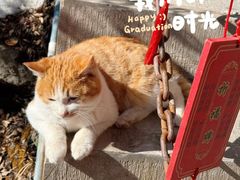 -终南山南五台景区