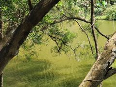-深圳仙湖植物园