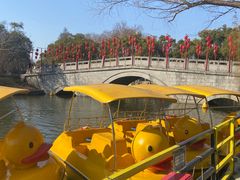 -太子山公园(园东路)