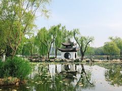 -陶然亭公园