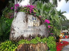-呀诺达热带雨林