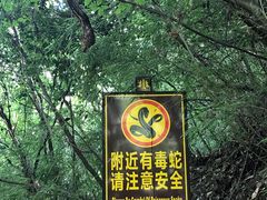 -神农架香溪源景区