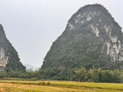 -明仕田园