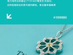 -海星奢选二手奢侈品手表包包鉴定回收寄卖(墨玉南路店)
