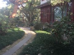 -吴山景区