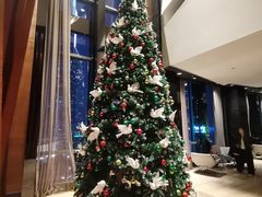 -广州富力君悦大酒店·凯菲厅