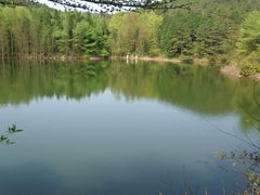 SAM_8201-四明山国家森林公园