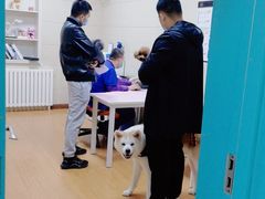-北京观赏动物医院·24小时大型综合·猫专科·异宠专科