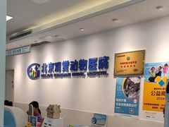 -北京观赏动物医院·24小时大型综合·猫专科·异宠专科