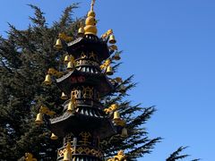 -龙口南山旅游景区