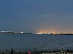 -宝安西湾红树林湿地公园