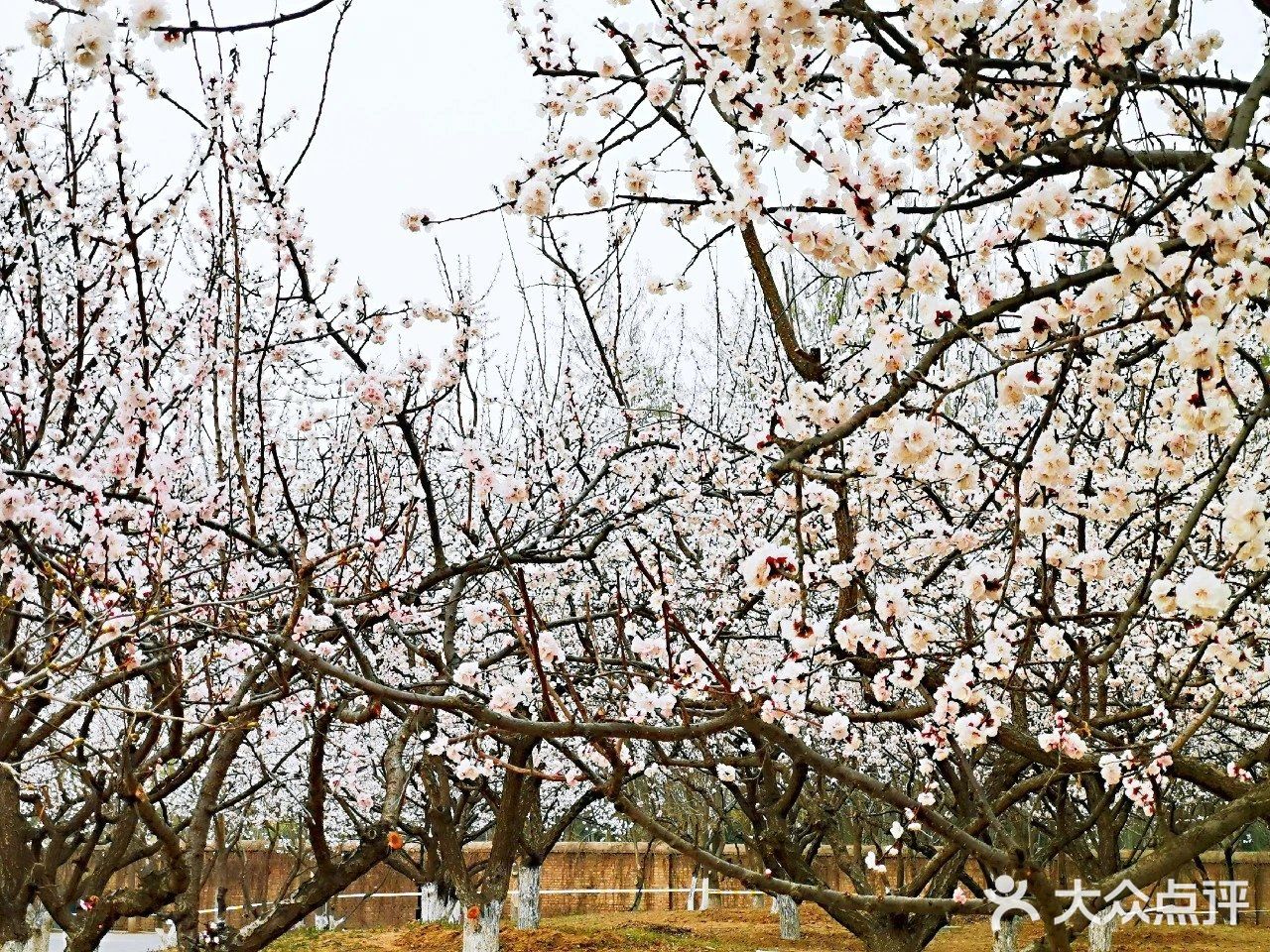溜娃圣地[糖果]蓝可可亲子乐国[礼花]