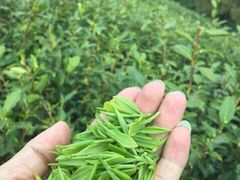 iphone_upload_pic-文雅轩茶叶(锦和越界田林坊店)