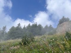 -白草畔自然风景区