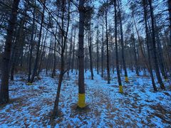 -帽儿山国家森林公园