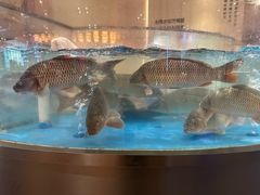 -阿庄新豫菜(航海东路店)