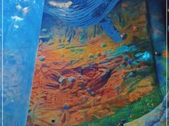 -青岛嘉年华主题乐园