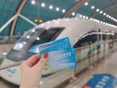 -龙阳路磁悬浮列车总站-停车场