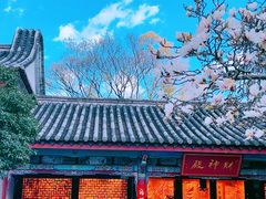 -真庆观
