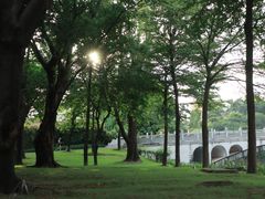 -顺峰山公园